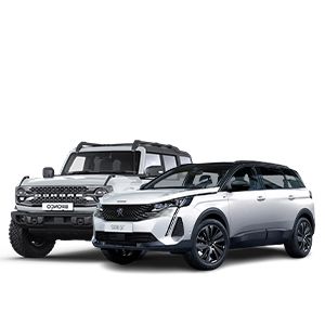 renting coche 12 meses barato